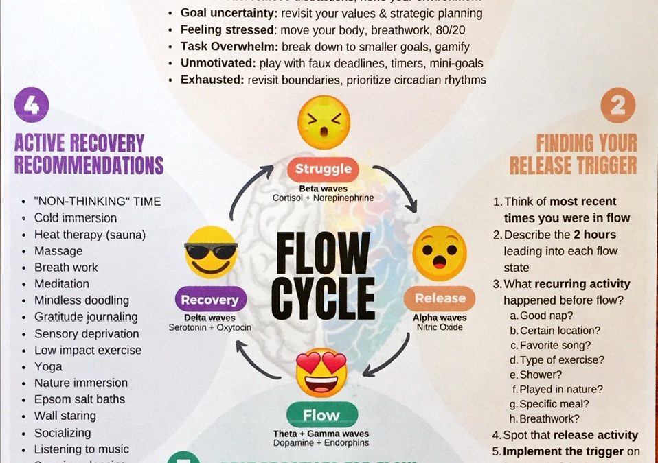 6th Vital Sign Flow States